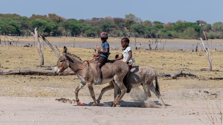 Botswana lapsed eeslite seljas